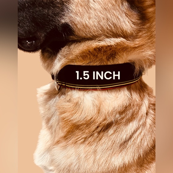 0.75” Dog Collar - White with Paw Prints/Bones, Paw Print Dog Collar, Paw Prints - Picture 13 of 15